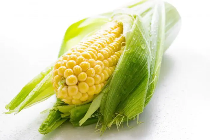 молода кукурудза Молодая кукуруза