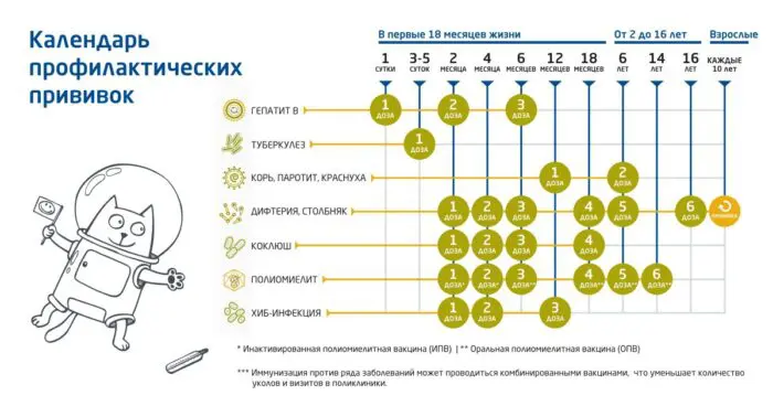 Календар вакцинації