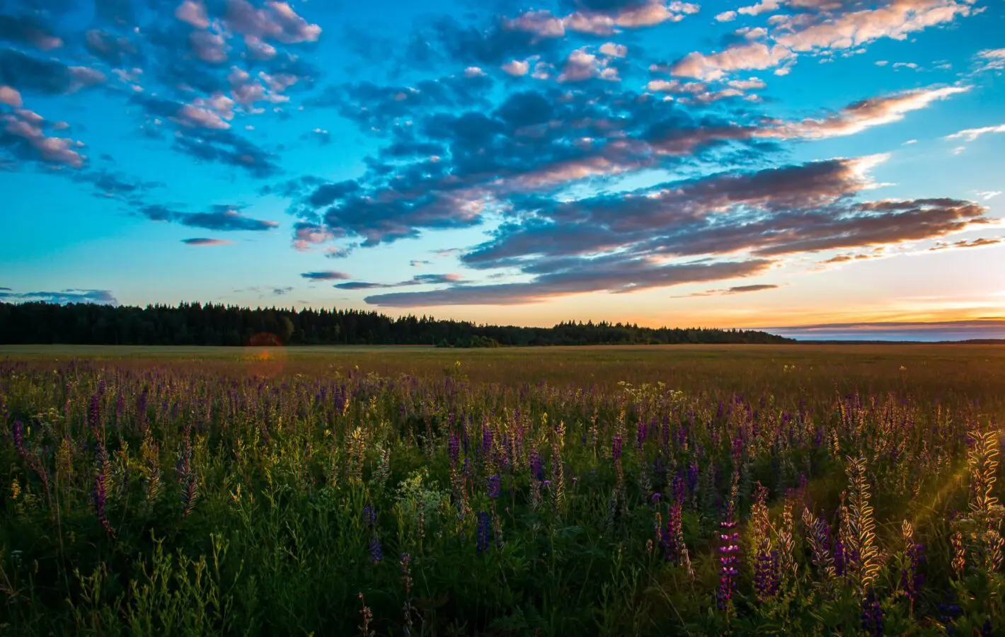 Події у світі, релігійні свята, іменини 3 червня