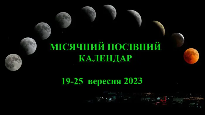 Найближчі 7 днів досить сприятливі для сільгоспробіт