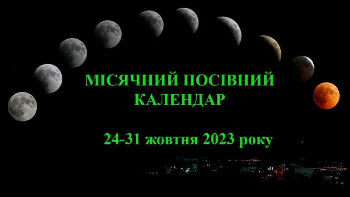 Поради астрологів на 24-31 жовтня