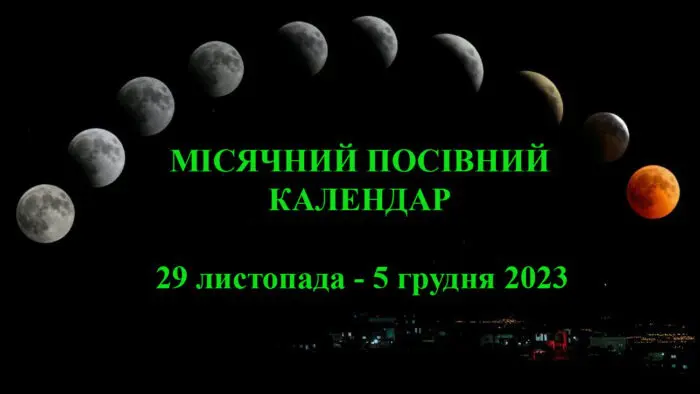 Поради астрологів на 29 листопада - 5 грудня