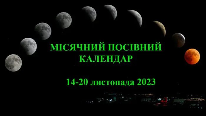 Рекомендації астрологів на період з 14 по 20 листопада