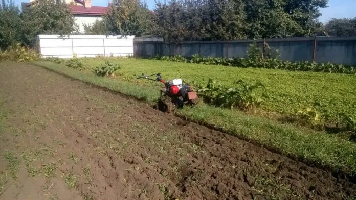 Городники розповіли про лайфхак, який замінить перекопування городу