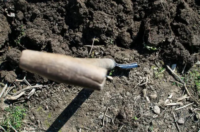 Городники розповіли, як розпушити виснажений ґрунт після збору врожаю