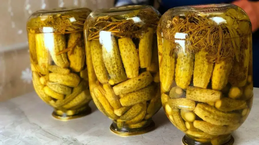 Експерти розповіли, чи можна їсти солоні огірки, на поверхні яких раптово з'явився білий наліт