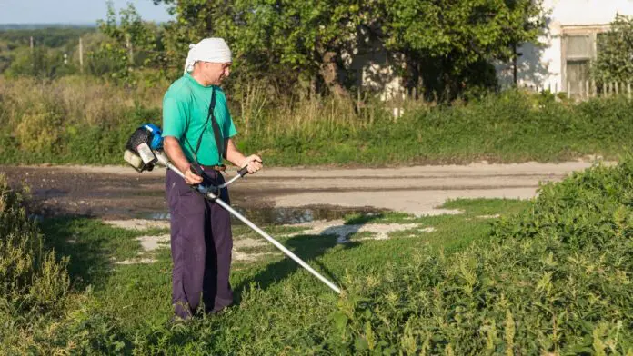 Садівники розповіли, як доглядати за мотокосою після сезону