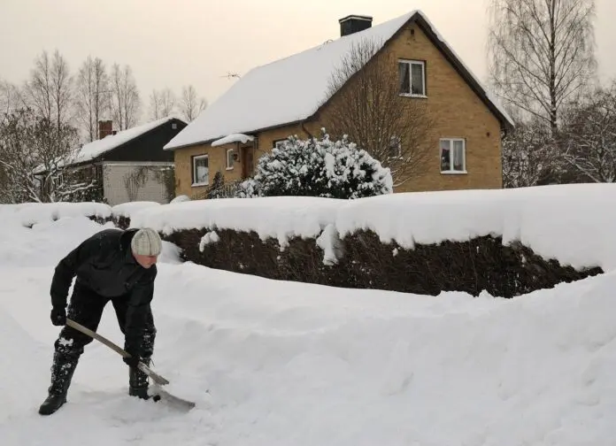 Експерти пояснили, що потрібно зробити на садовій і городній ділянці одразу після Нового року