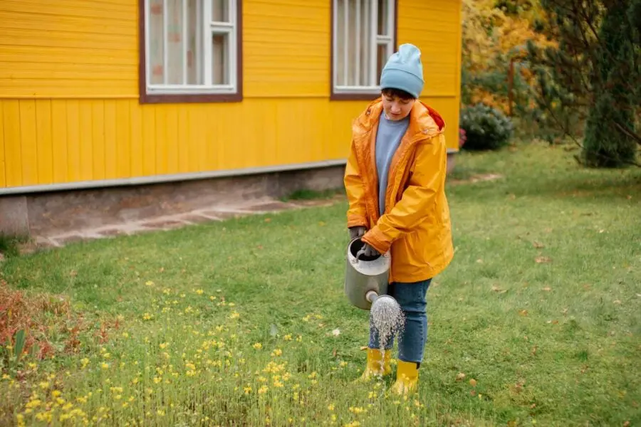 Досвідчені городники розповіли, як правильно підготувати сад до зими