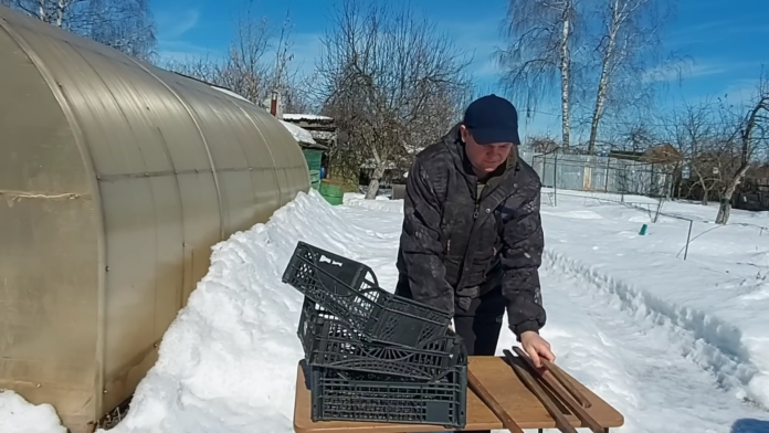 Експерти розповіли, як використати на городі пластикові ящики