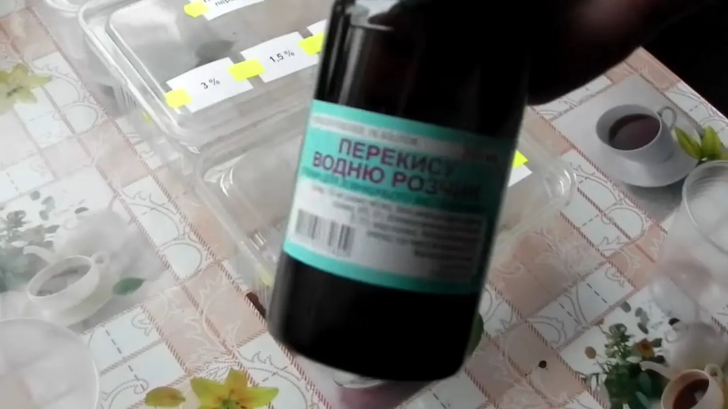 Городники розповіли, в чому замочити насіння огірків для рекордного врожаю