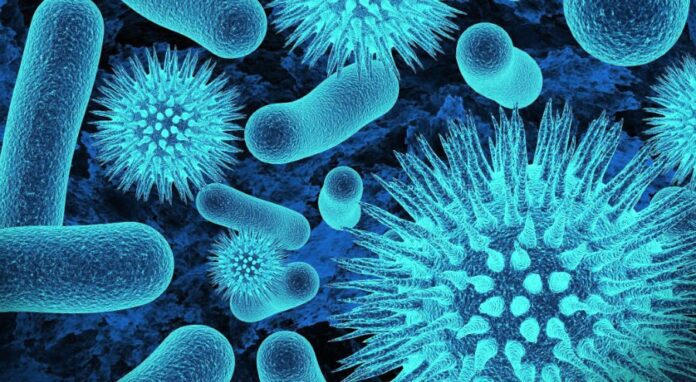 Найнебезпечніші бактерії для людства