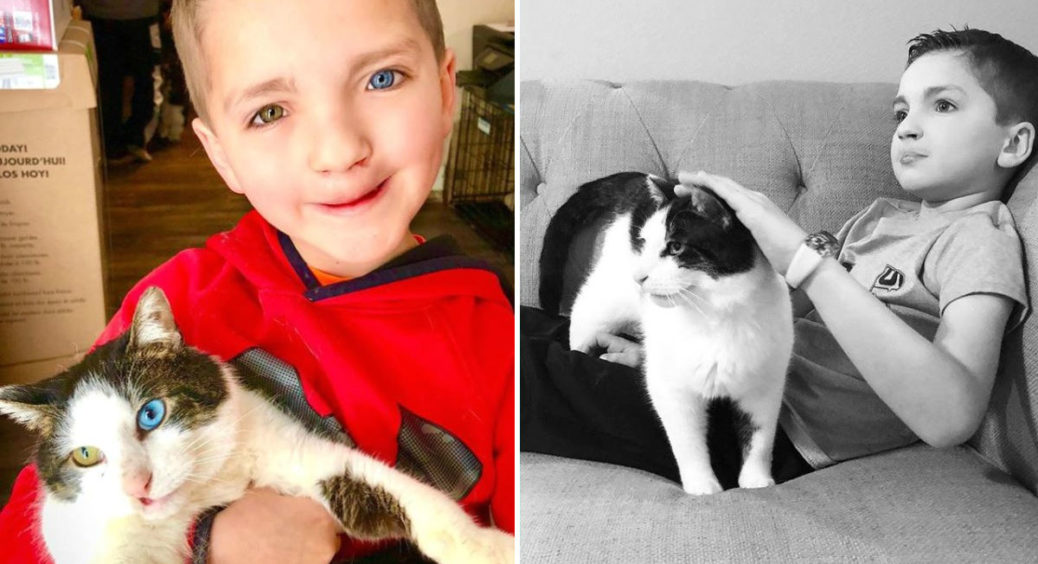 Дитина із заячою губою і різними очима знайшла собі такого ж кота 