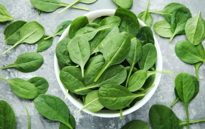 Експерти розповіли, коли потрібно сіяти шпинат навесні