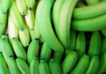 Зеленые бананы 