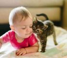 Ребенок с котенком 
