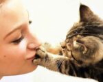 От любви до больничной койки почему нельзя целовать домашних питомцев (3) 