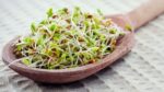 7 продуктов, разжижающих кровь предотвращаем образование тромбов и живем долго (2) 