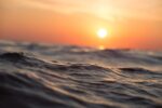 Кишкова паличка у воді 