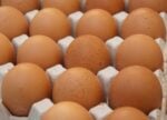 eggs-1882837_1280 