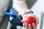 young caucasian woman with toy heart in the hand donates blood for saving lives and medical research 