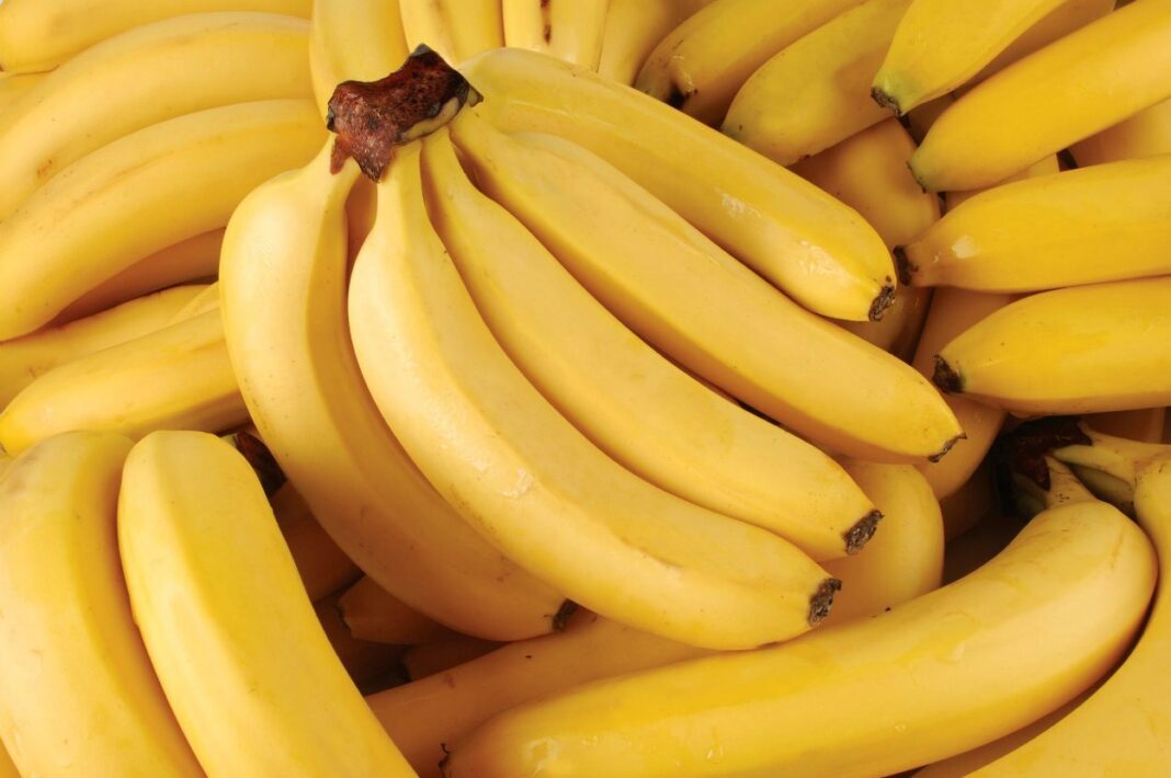 Експерти розповіли, як правильно зберігати банани вдома