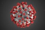 US national public health institute releases illustrations revealing structure of novel coronavirus 