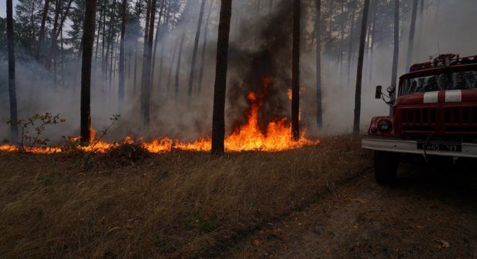 Пожежі на Луганщині: загальна евакуація 