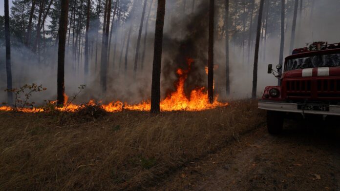Пожежі в луганській області