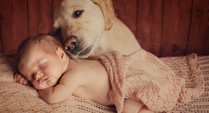 Собаки можуть поліпшити соціально-емоційний розвиток маленьких дітей 