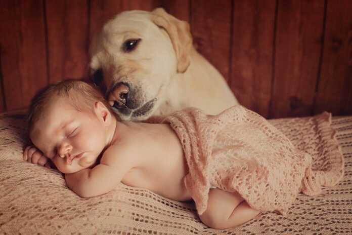 Малюк і собака
