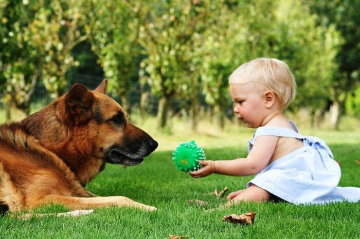 Собаки позитивно впливають на дітей