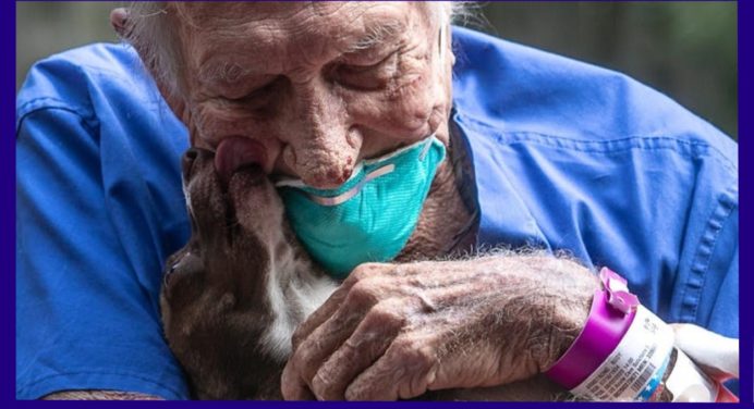 Крихітна собака врятувала життя своєму старому господареві 
