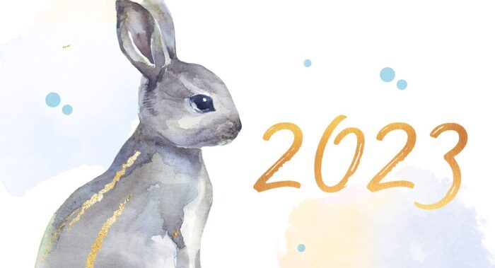 Раз на півстоліття: що готує 2023 рік Чорного Водяного Кролика для всіх знаків Зодіаку та яким буде майбутнє 