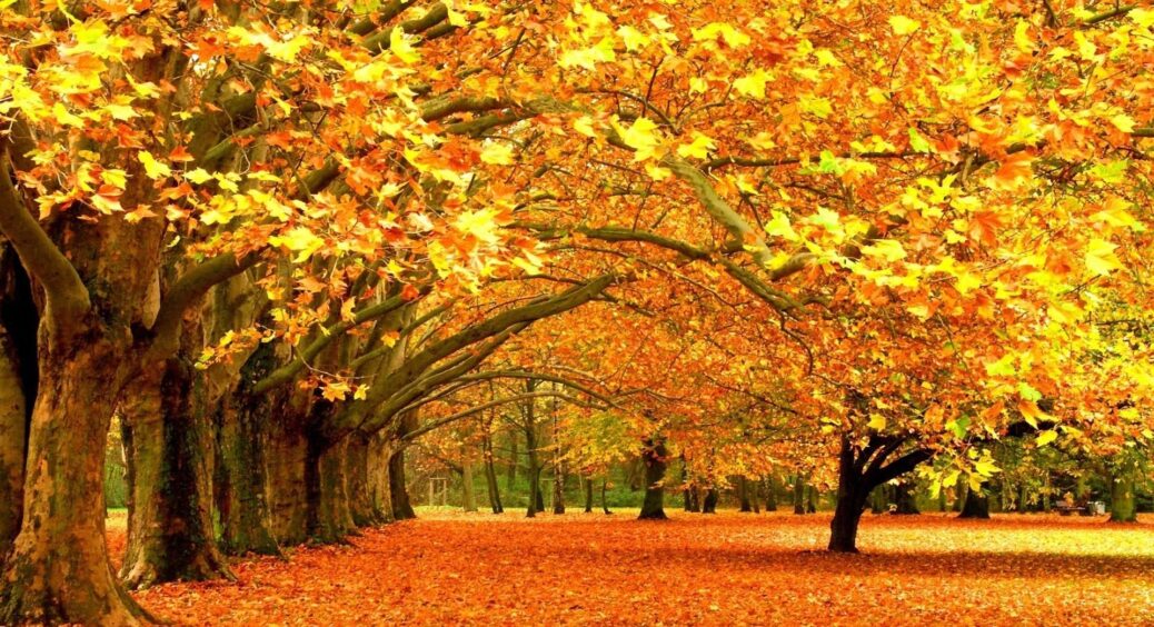 5 листопада 2022 року: яке сьогодні свято, прикмети, звичаї та заборони цього дня, яких варто дотримуватись 