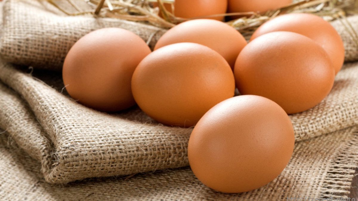 Яйця дуже корисні для тварин