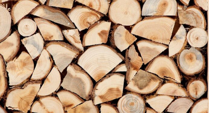Які дрова погано гріють вашу домівку: дерево, що швидко згорає та не дає тепла 