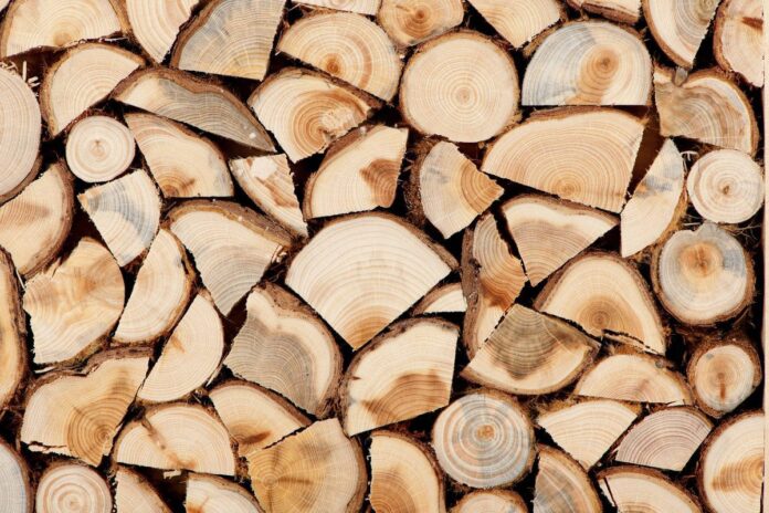 Які дрова краще не брати для опалення