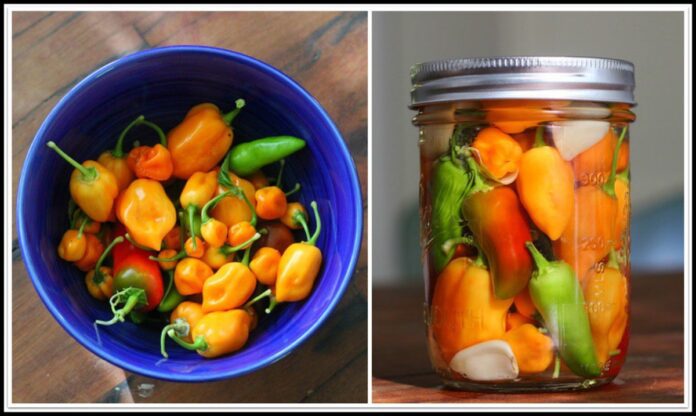 Як приготувати перець Як приготувати перець
