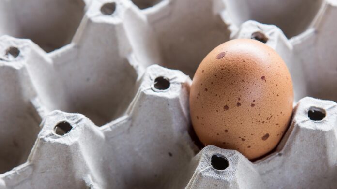 Чим замінити яйця у фарші, випічці і млинцях?