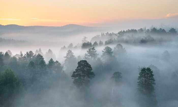 Ранковий туман пророкує похолодання