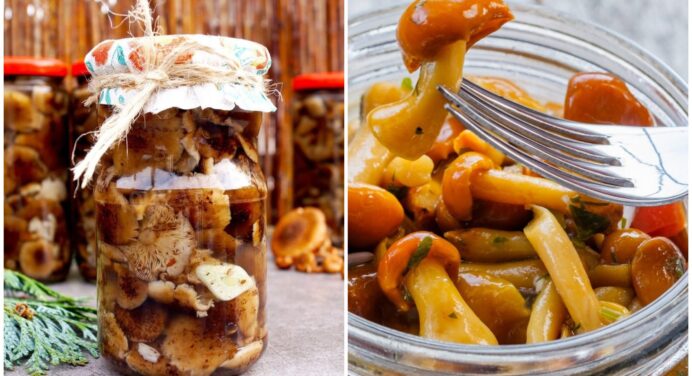 Неймовірно смачно та просто: рецепт, який допоможе вам заготувати гриби на зиму без зайвих інгредієнтів 