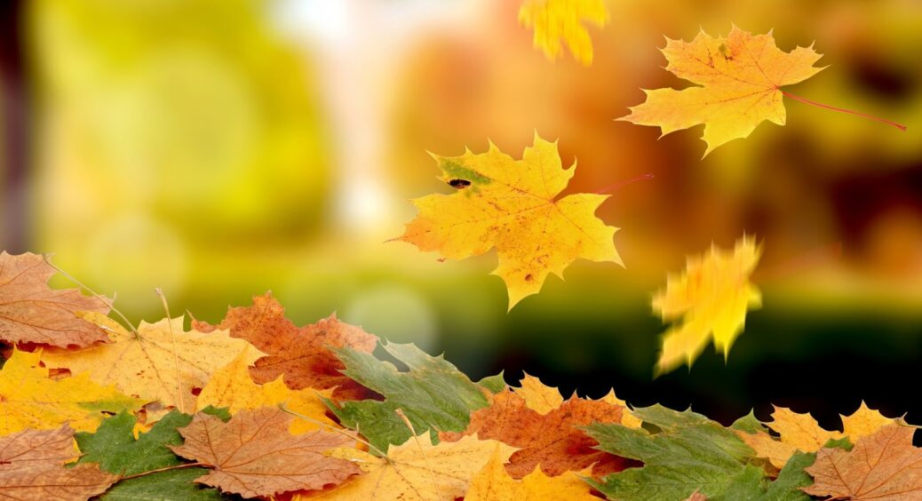 9 листопада 2022 року: яке сьогодні свято, прикмети, звичаї та заборони цього дня, яких варто дотримуватись 