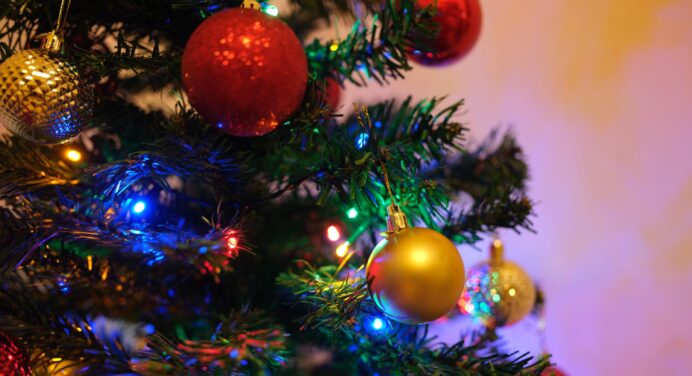 Ялинка не осипатиметься до кінця зими: чим обприскати новорічну красуню, щоб голки з дерева не падали 