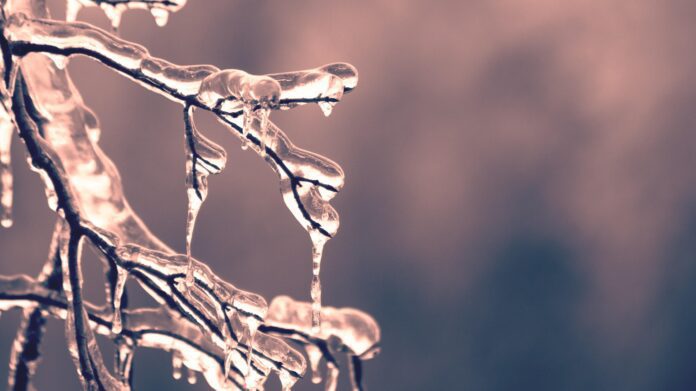 13 грудня 2022 року: прикмети, іменини, свята, заборони 13 грудня 2022 року: прикмети, іменини, свята, заборони