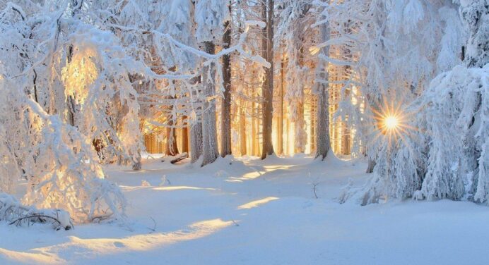 Погода в Україні у лютому 2023: синоптики прогнозують снігопади і морози майже по всій країні 