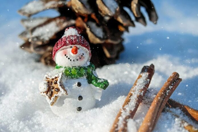 Події у світі, релігійні свята, іменини 15 лютого