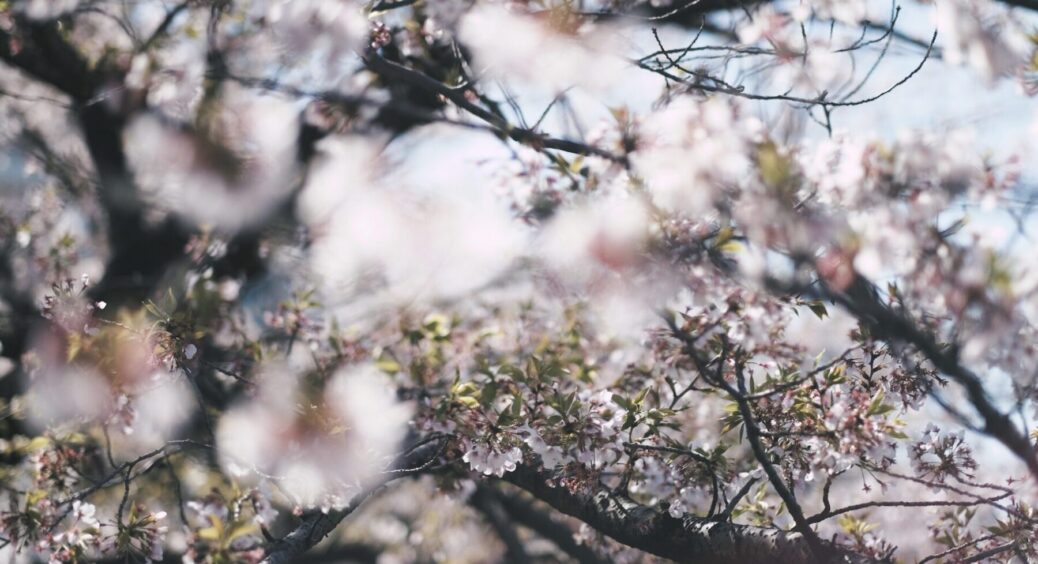 1 березня 2023 року: яке сьогодні свято, прикмети, звичаї та заборони цього дня, яких варто дотримуватись 