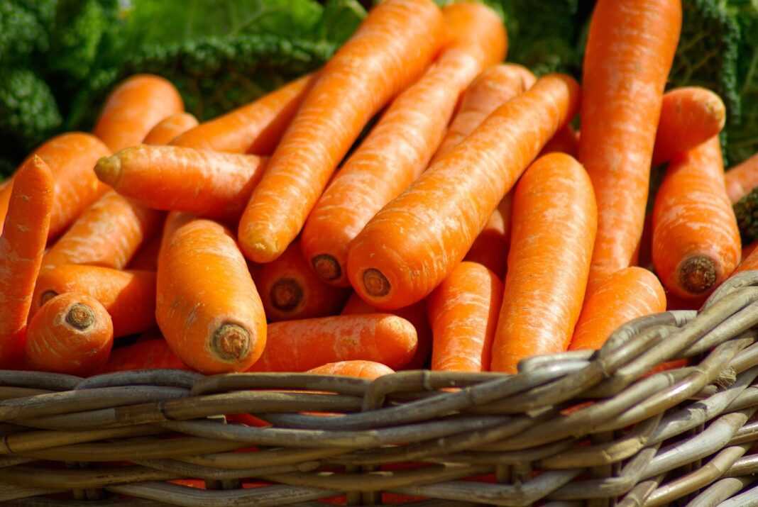 ТОП-5 сортів моркви для вирощування в ґрунті