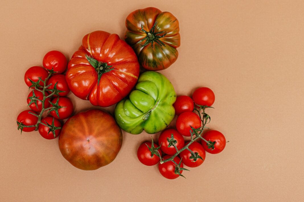 ТОП-5 найкращих сортів помідорів від досвідчених огородників